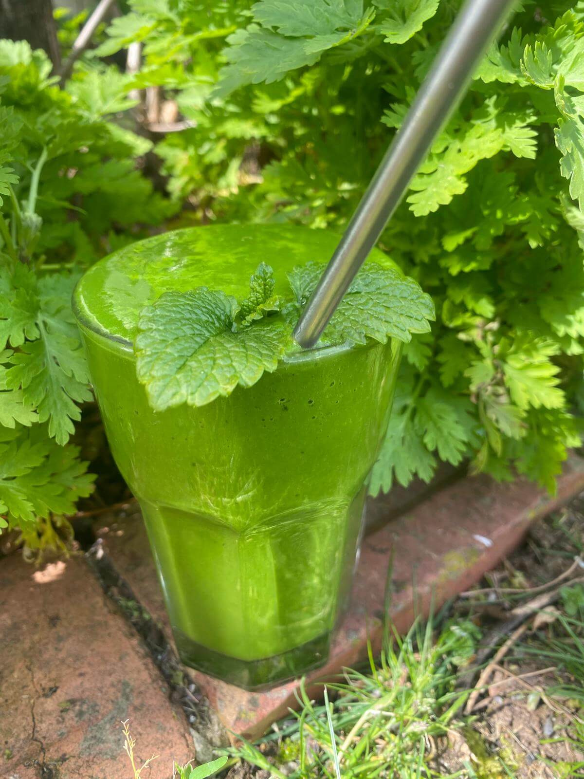 Nutritious Green Smoothie with Fruits and Vegetables